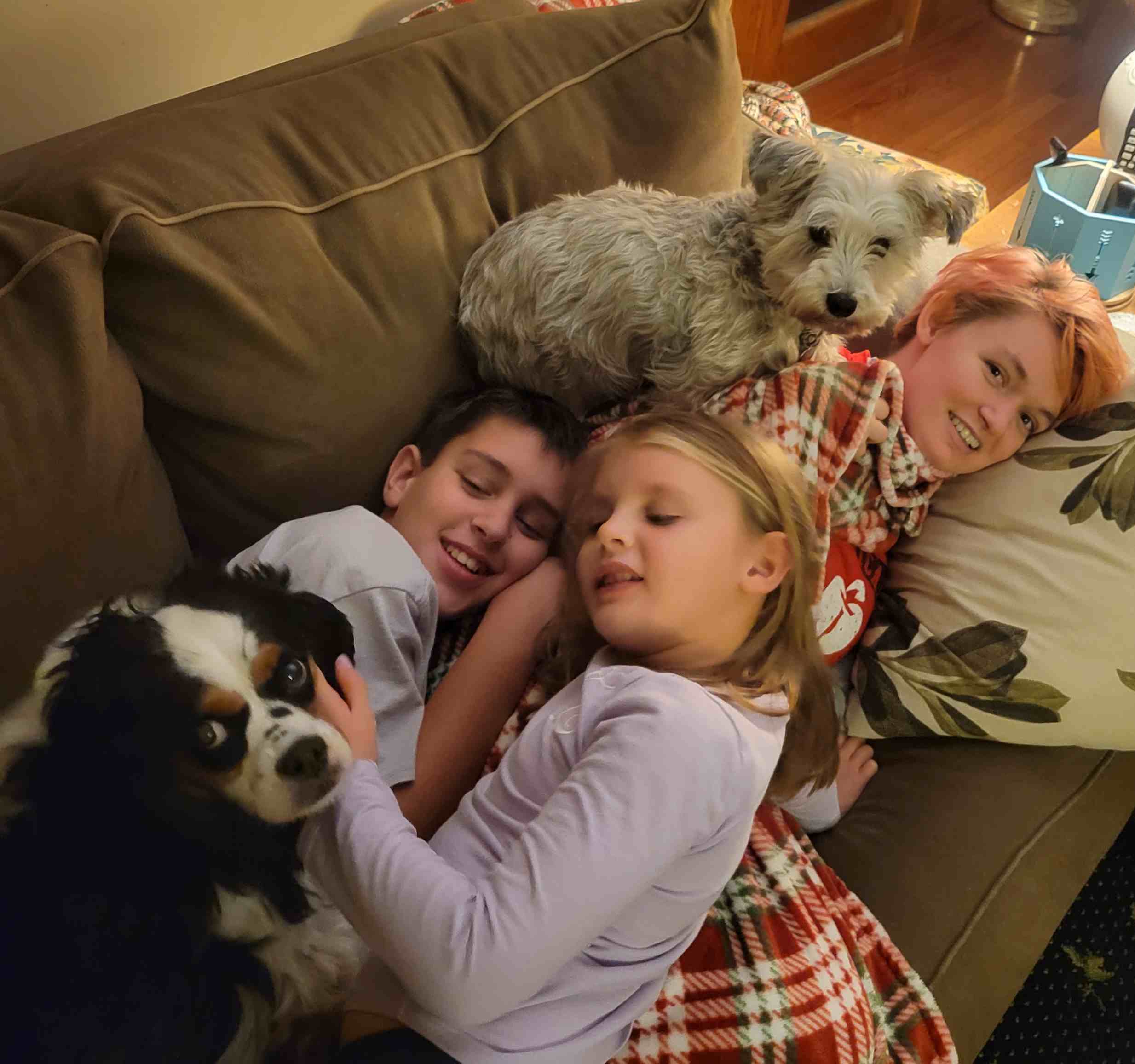 2021-11-13 dog pile.jpg